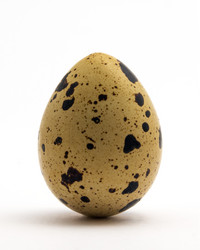 Similar image 6342537