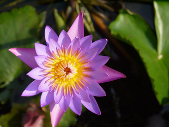 Similar image 6342572