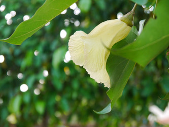 Similar image 6342574