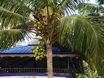 Similar image 6342575