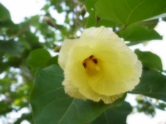 Similar image 6342576