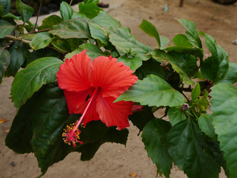 Similar image 6342577