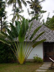 Similar image 6342578