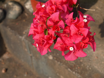 Similar image 6342579