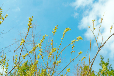 Similar image 6342588