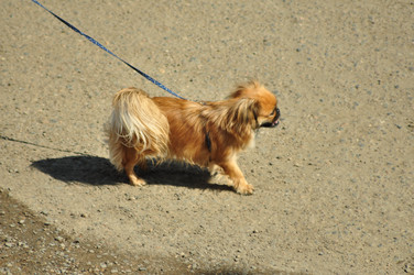 Similar image 6342591