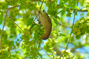 Similar image 6342593