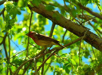 Similar image 6342595