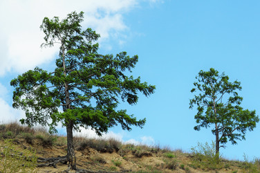 Similar image 6342597