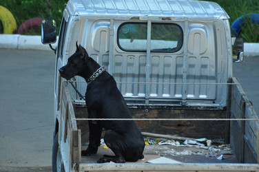 Similar image 6342600