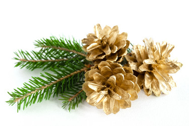 Similar image 6342664