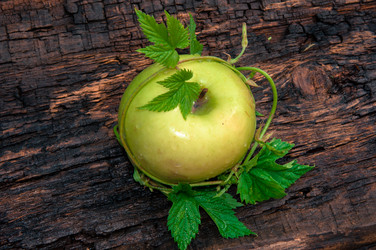 Similar image 6342676