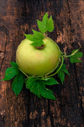 Similar image 6342677