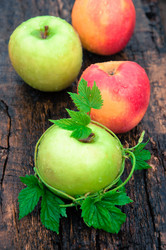 Similar image 6342679