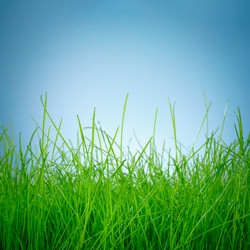 Similar image 6342927