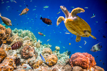 Similar image 6342964