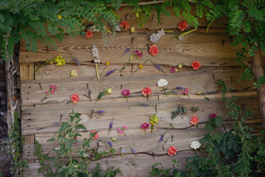 Similar image 6343015