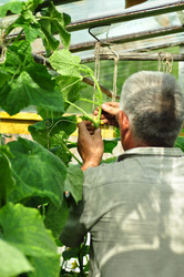 Similar image 6343020