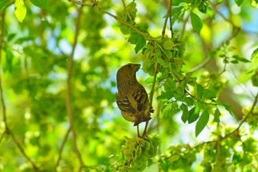 Similar image 6343021