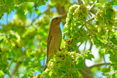 Similar image 6343022