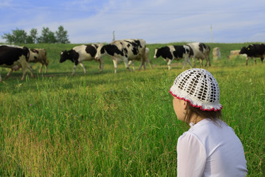 Similar image 6343042