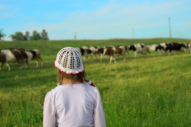 Similar image 6343043