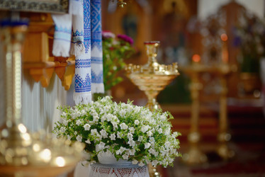 Similar image 6343162