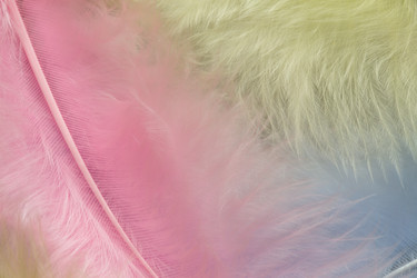 Similar image 6343170