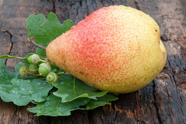 Similar image 6343174