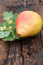 Similar image 6343175