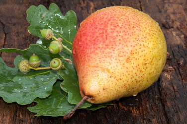 Similar image 6343176