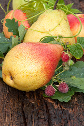 Similar image 6343177