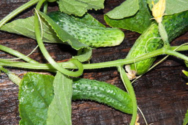 Similar image 6343182