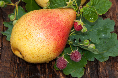 Similar image 6343183