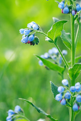 Similar image 6343308