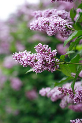 Similar image 6343309