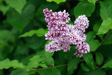 Similar image 6343311