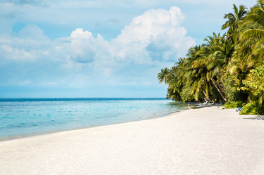 Similar image 6343450