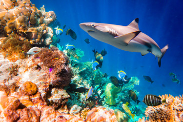 Similar image 6343483