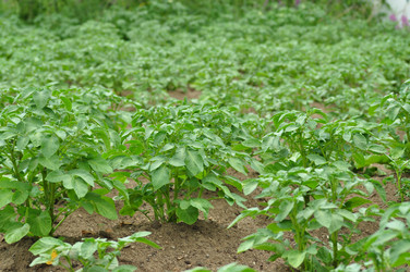 Similar image 6343525