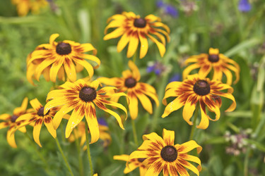 Similar image 6343533