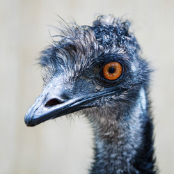 Similar image 6343640