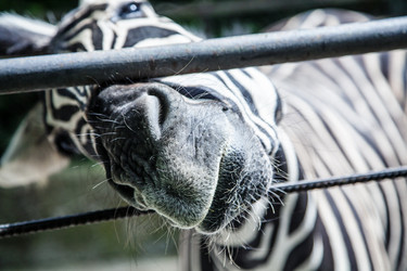 Similar image 6343642