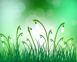 Similar image 6343733