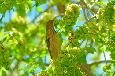 Similar image 6343760