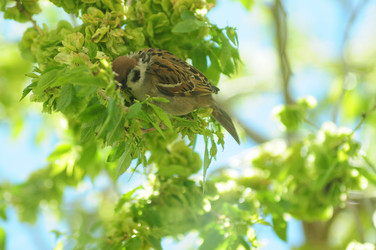 Similar image 6343761