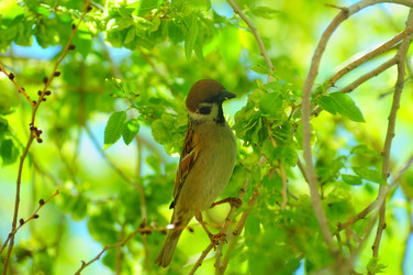 Similar image 6343762