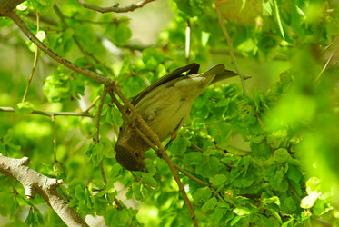 Similar image 6343765