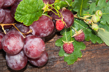 Similar image 6343856