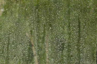 Similar image 6343861